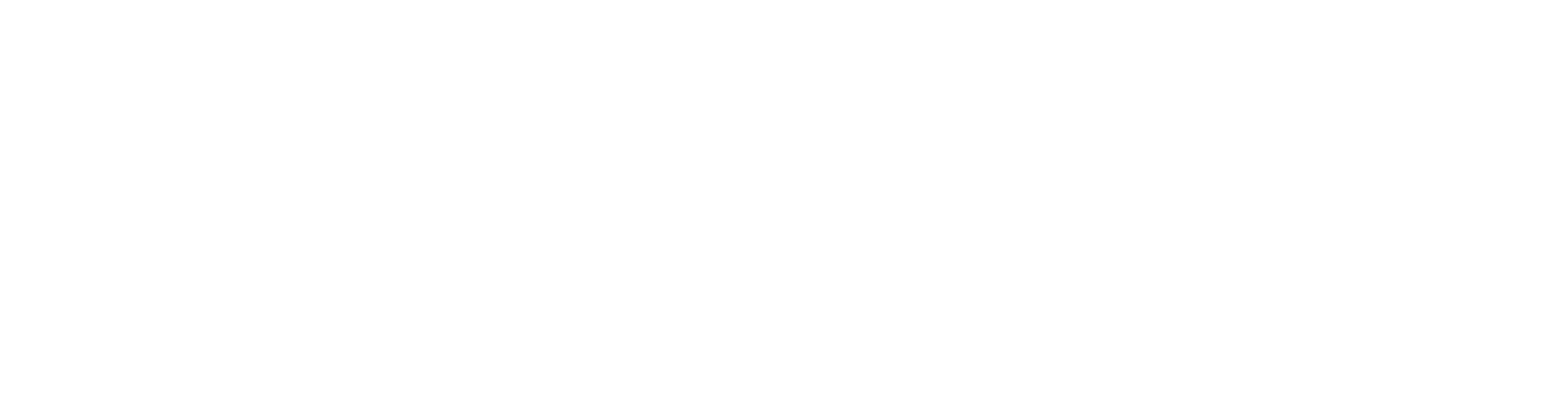 Focus Entertainment